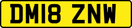 DM18ZNW