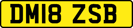 DM18ZSB