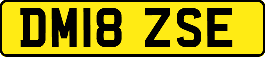 DM18ZSE