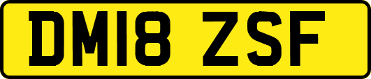 DM18ZSF