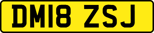 DM18ZSJ