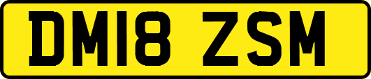 DM18ZSM