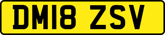 DM18ZSV
