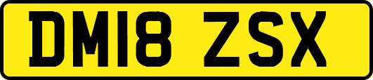 DM18ZSX