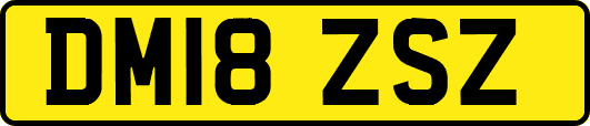 DM18ZSZ