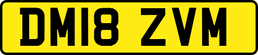 DM18ZVM