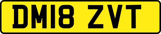 DM18ZVT