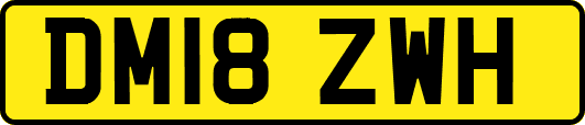 DM18ZWH
