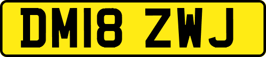 DM18ZWJ
