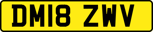 DM18ZWV