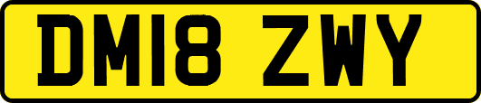 DM18ZWY