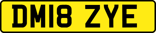DM18ZYE