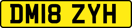 DM18ZYH