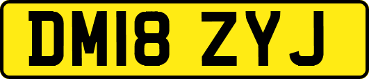 DM18ZYJ