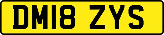 DM18ZYS