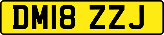 DM18ZZJ