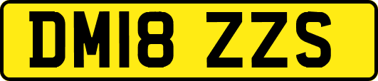 DM18ZZS