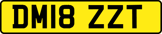 DM18ZZT