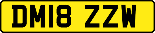 DM18ZZW