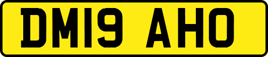 DM19AHO