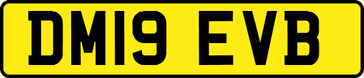 DM19EVB