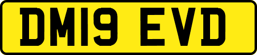 DM19EVD