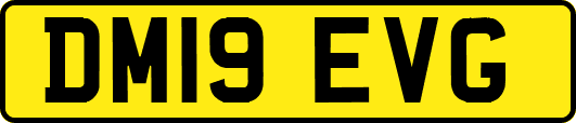DM19EVG