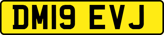 DM19EVJ