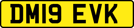 DM19EVK