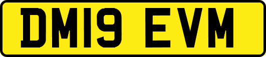DM19EVM