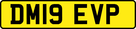 DM19EVP