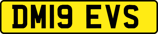 DM19EVS