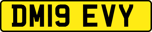 DM19EVY