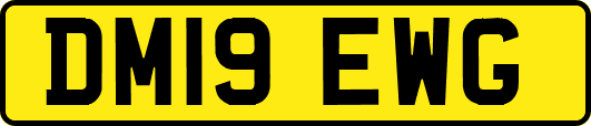 DM19EWG