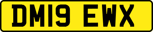 DM19EWX