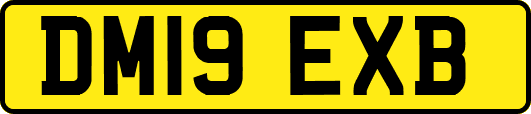 DM19EXB