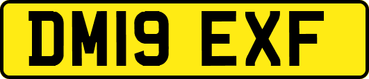 DM19EXF