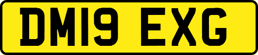 DM19EXG