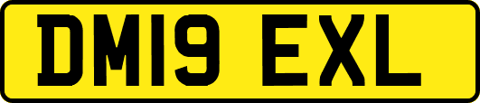 DM19EXL