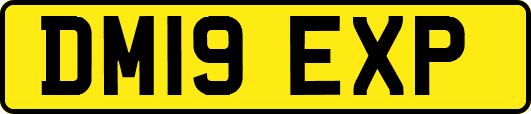 DM19EXP
