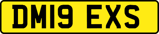 DM19EXS