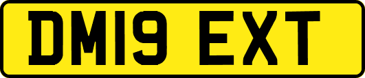 DM19EXT