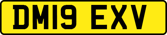 DM19EXV