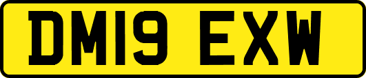 DM19EXW