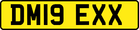 DM19EXX
