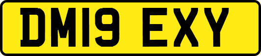 DM19EXY