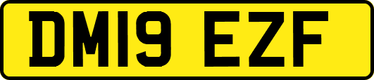 DM19EZF