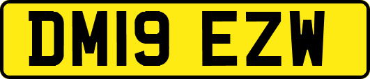 DM19EZW