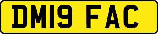 DM19FAC