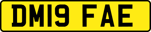 DM19FAE